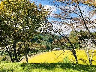 脳梗塞で救急入院→リハビリ病院へ転院//…