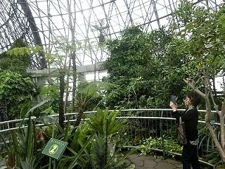 ドーム内の風景。