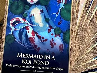 鯉のマーメイドがいつかドラゴンになる？！