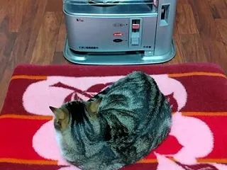 老々介護？それでも歩けることって大事
