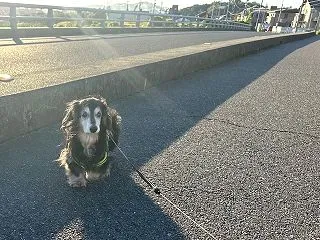 陸さん！ クン活が長すぎーーー