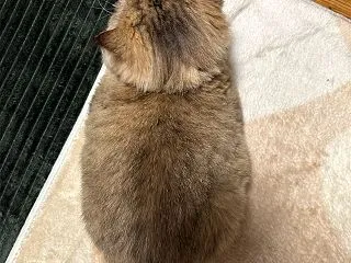 今日はハニー！【今日の一枚】