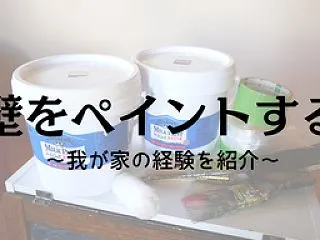 *【好きを形にするDIY】初めて壁をペイ…