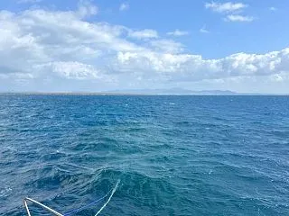台風明けでーす＼(^o^)／