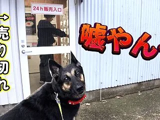 完売してたこだわり卵で親子丼が食べたい！…