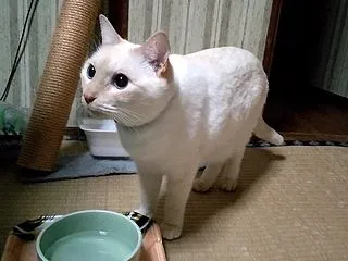 4年前のタク