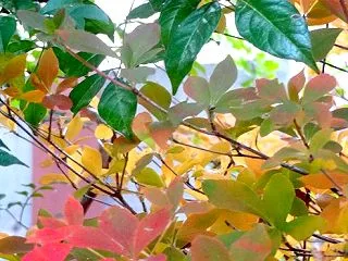 なるほど🙄要するに…すべて自分のせい と…