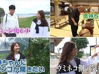 人もウミネコもいなくて💛鶴瓶の家族に乾杯…