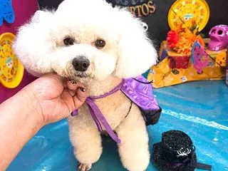 ちょっとへばった…