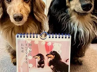 今週は「女優』のアタチ❤️