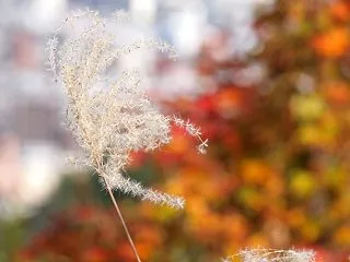 １０月１８日のカメラ散歩