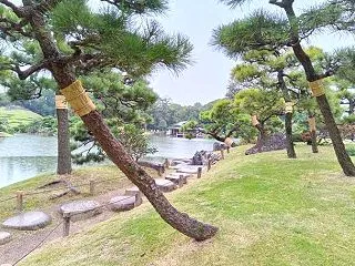 清澄庭園,園内の冬支度
