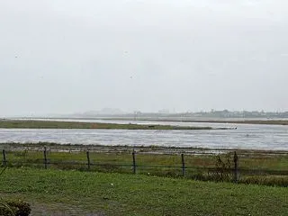 「もっちり」って響きに