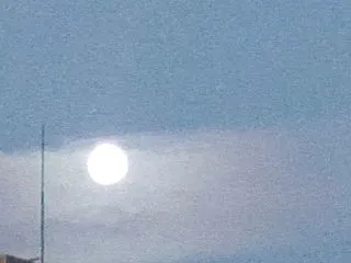 夜明けに大きい美しいお月様でした