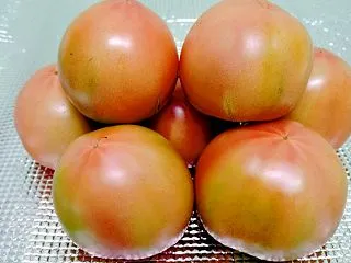 トマト
