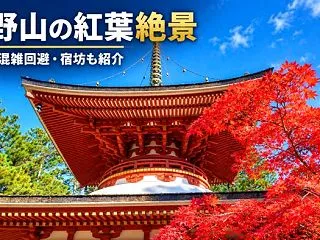 高野山の紅葉見頃＆現在状況！混雑回避法、…
