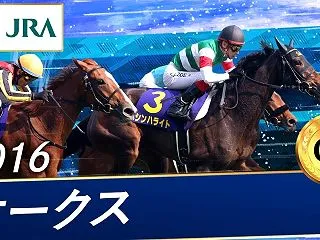 シンハライト(2013.4.11)-検索…