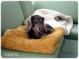 今朝のふたり