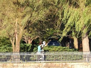 公園散歩は平日に