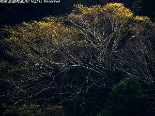 安房峠の紅葉（その２）