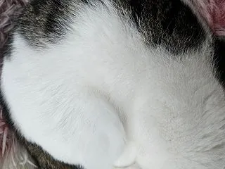 早朝のおっさん
