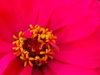 PHPの脆弱性問題からようやく復活したよ…