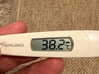 丹波の黒枝豆