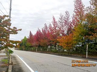 滑川、スギノマシンの紅葉がそろそろ見頃に…