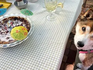 友人の家で