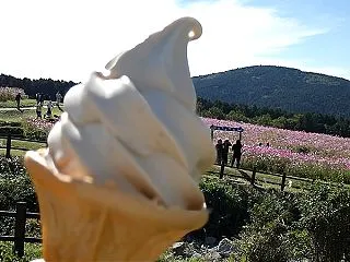 楽しみはコスモスだけじゃない！