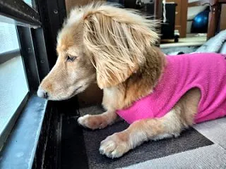 お疲れさまで