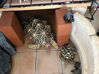 【長崎】雨でウォーキング休み・ちびドラゴ…