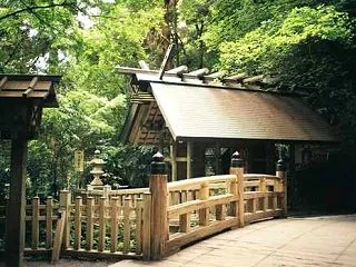 やっと現像してきた