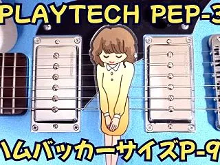 PLAYTECH PEP-3 レビュー｜…