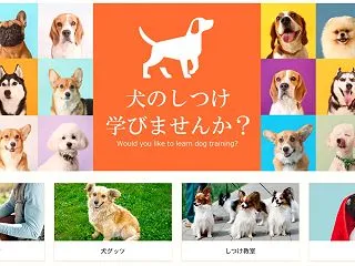 【盛岡市】犬のしつけ教室おすすめ情報！愛…