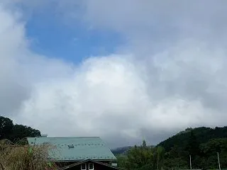 いつもの抹茶
