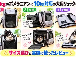 7.2kgのポメラニアンに10kg対応の…