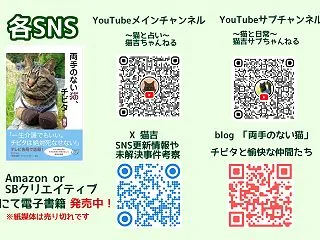取り急ぎのご報告