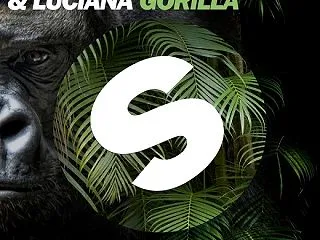 Gorilla