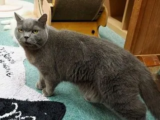 近況