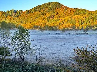 志賀高原･田ノ原湿原にて