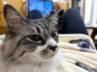 月2回はやりすぎ