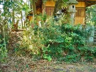 丘陵に単独で築かれた円墳？ ネット初公開…
