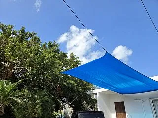 台風が去ったあとの庭。今年はもう来ないで…