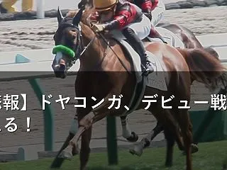 【悲報】ドヤコンガ、デビュー戦を迎える！