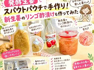 【発酵生姜】スパウトパウチで手作り！新生…