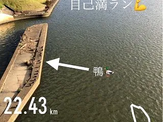 今日は2時間走！哀愁漂う季節