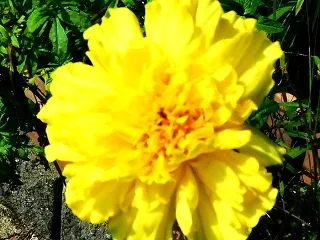 老いの覚悟と生き方Ⅱ（5650回記念）（…