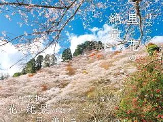 【10月27日は何の日？】読書の日｜一冊…