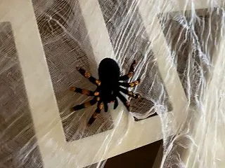ケルト人の本気のハロウィン